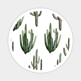 Mid Century Modern Cacti patterns Magnet